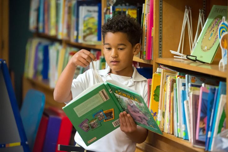 Year 5 Reading