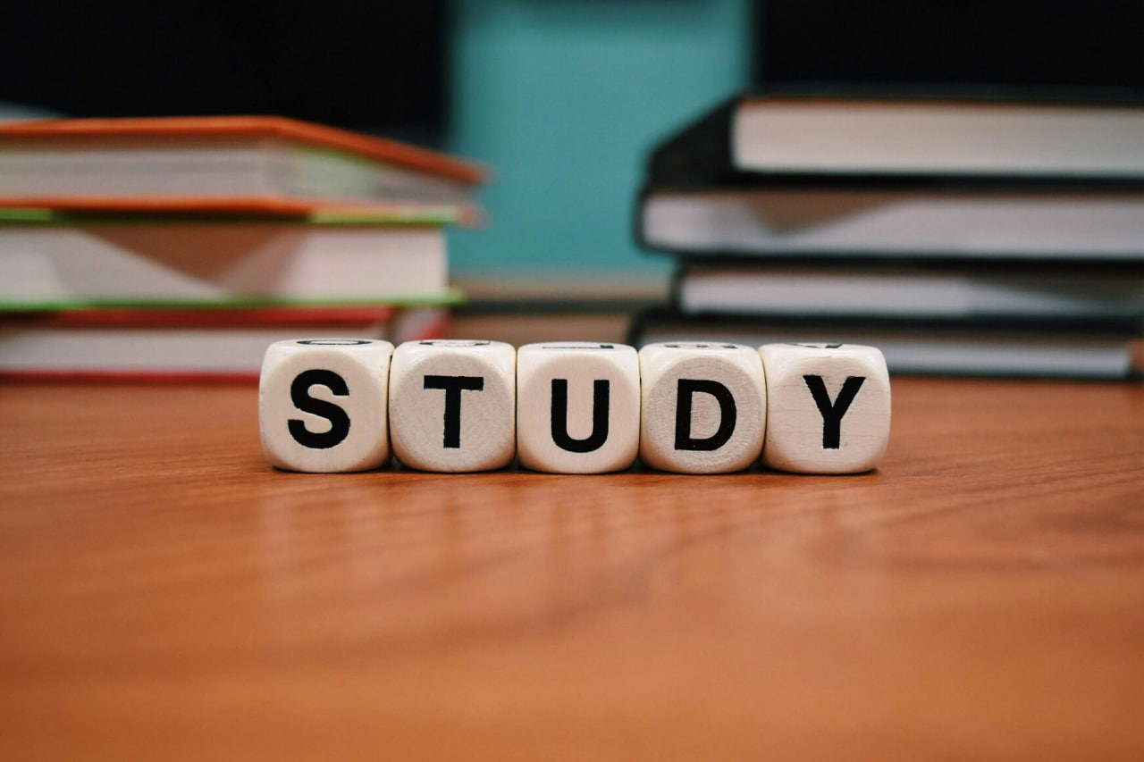 GCSE Study