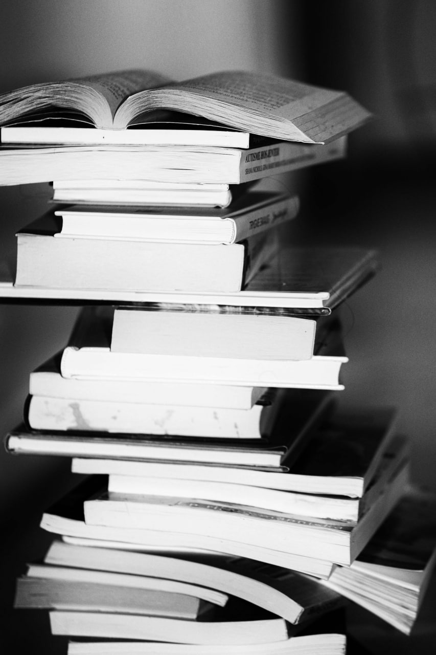 Year 4 Reading Books PDF