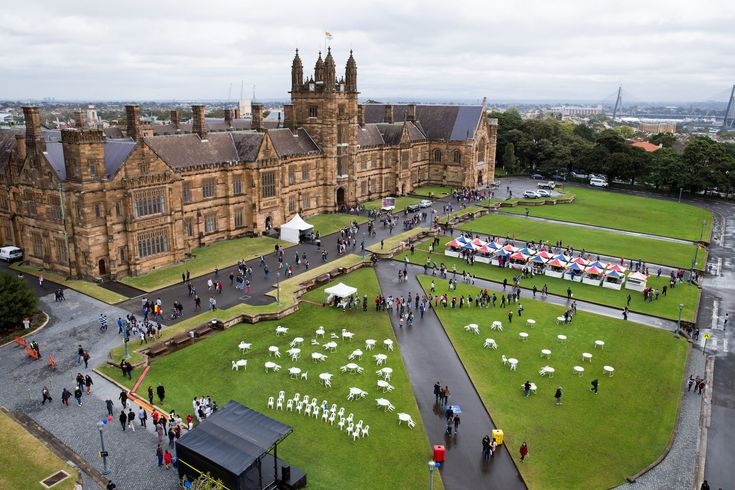 Best Schools in The World